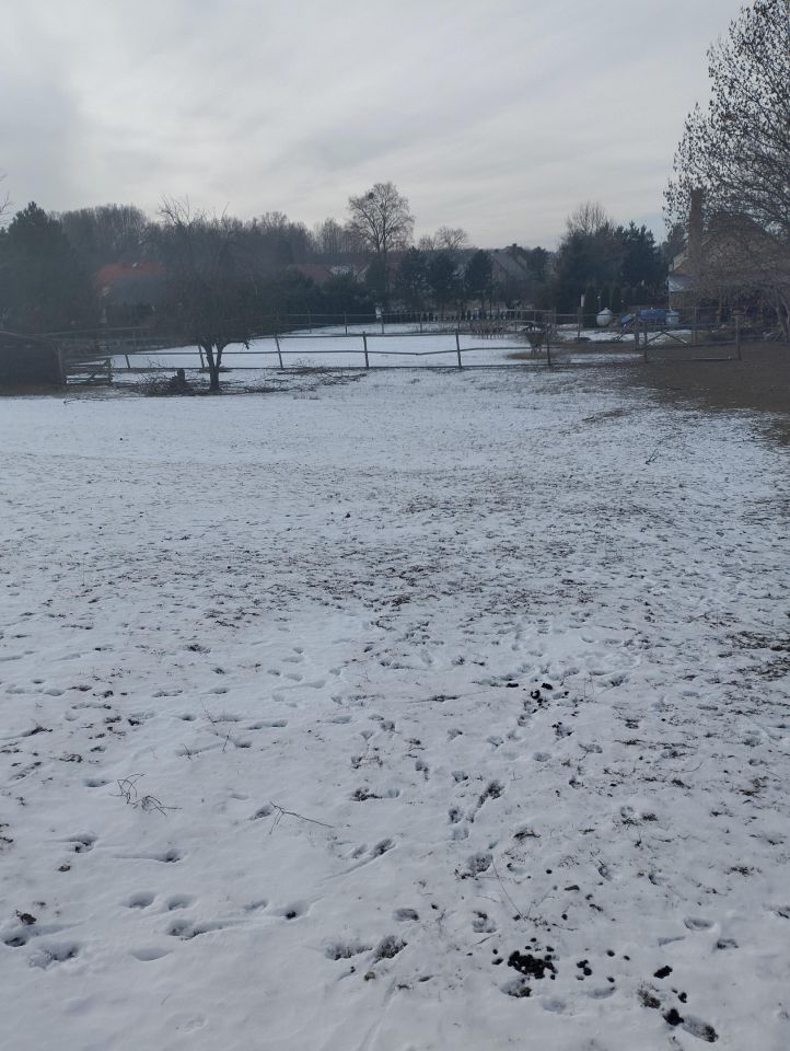 gospodarstwo, 5 pokoi Domaszkowice. Zdjęcie 4