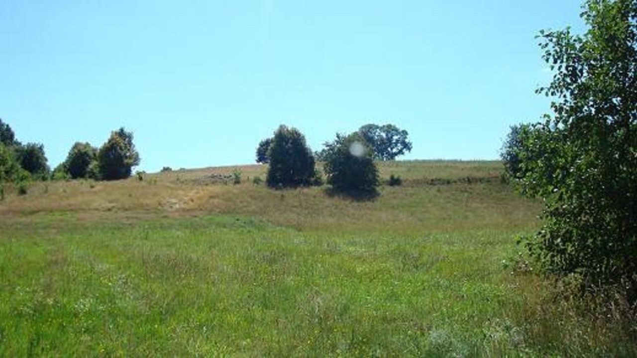 Działka budowlana Słonowice. Zdjęcie 6