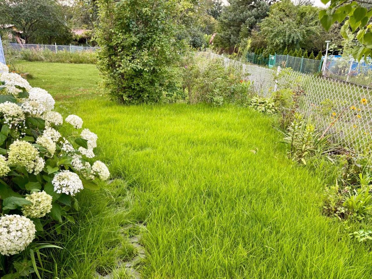 Działka rod Zielona Góra Zacisze. Zdjęcie 5