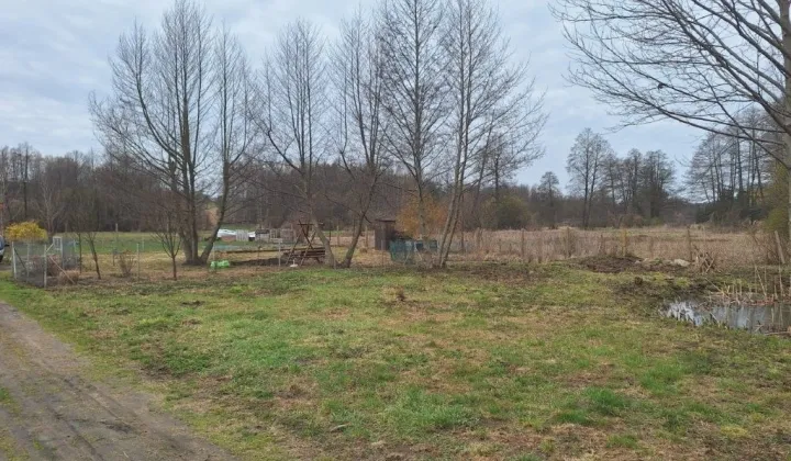 Działka rekreacyjna Rypin, ul. Spokojna