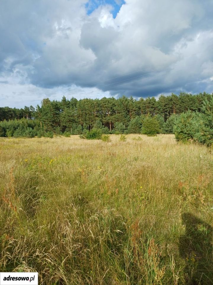Działka budowlana Piłka. Zdjęcie 4