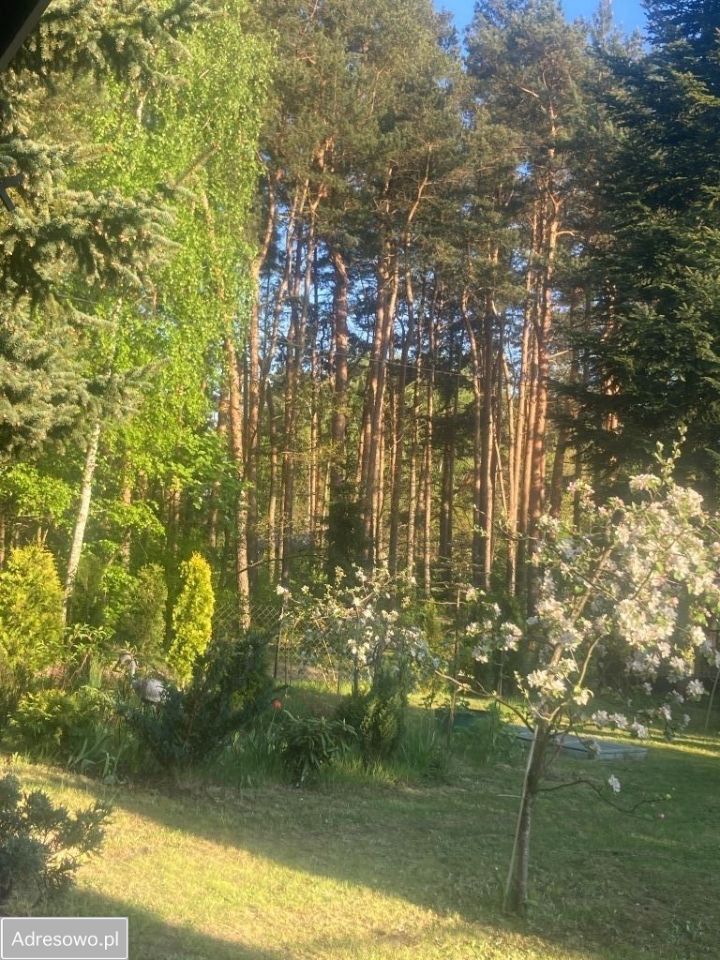 Działka rod Stefanowo, ul. Ułanów. Zdjęcie 9