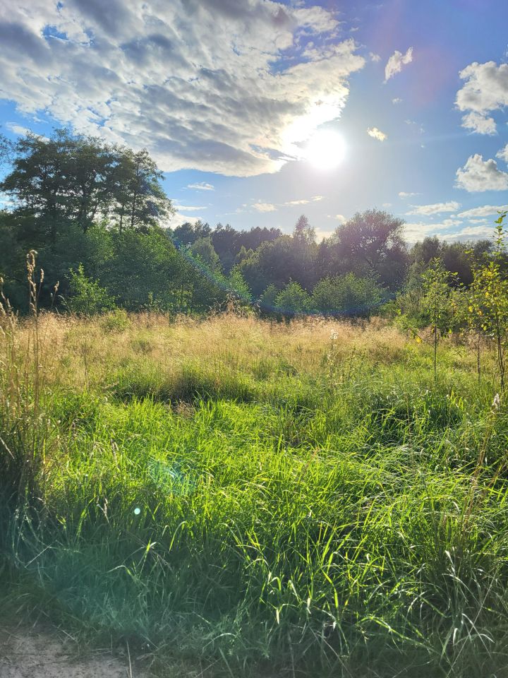 Działka budowlana Radomia Orzewo. Zdjęcie 20