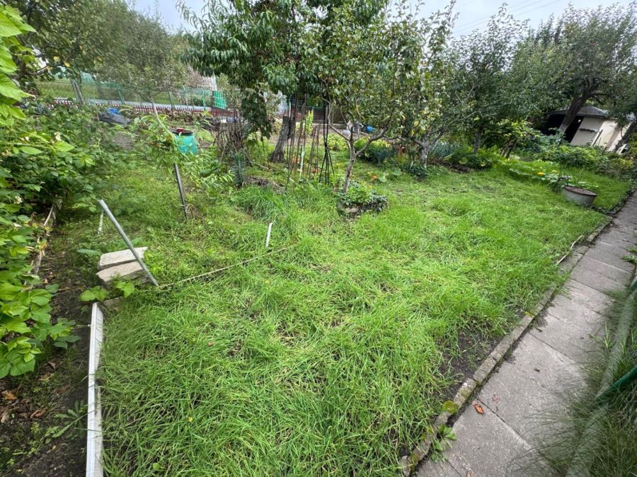 Działka rod Gdynia Mały Kack, ul. Przemyska. Zdjęcie 8