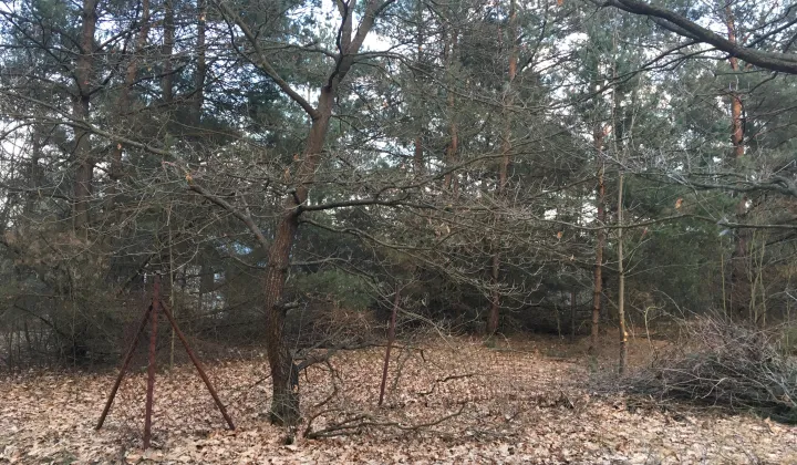 Działka rekreacyjna Kuligów, ul. Okrężna