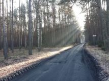 Działka budowlana Wilków. Zdjęcie 4