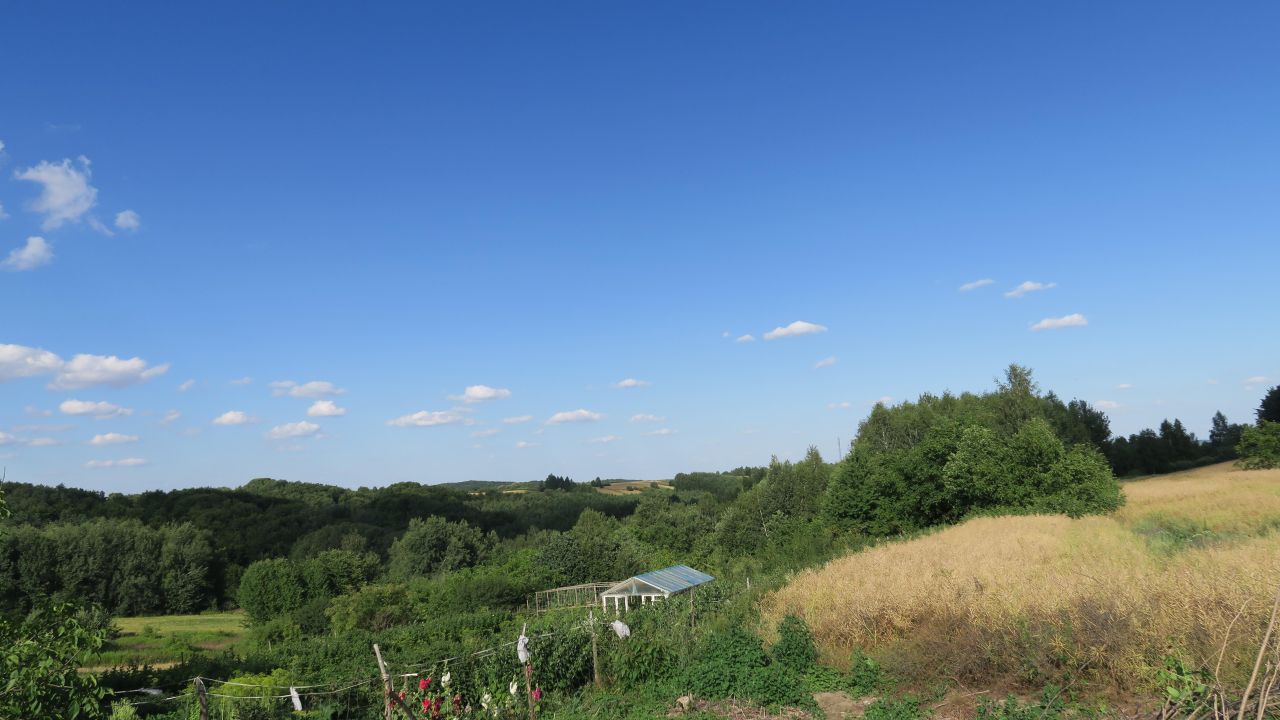 Działka rekreacyjna Albinów Duży. Zdjęcie 4