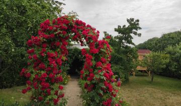 Działka rod Wolsztyn, ul. Bohaterów Bielnika