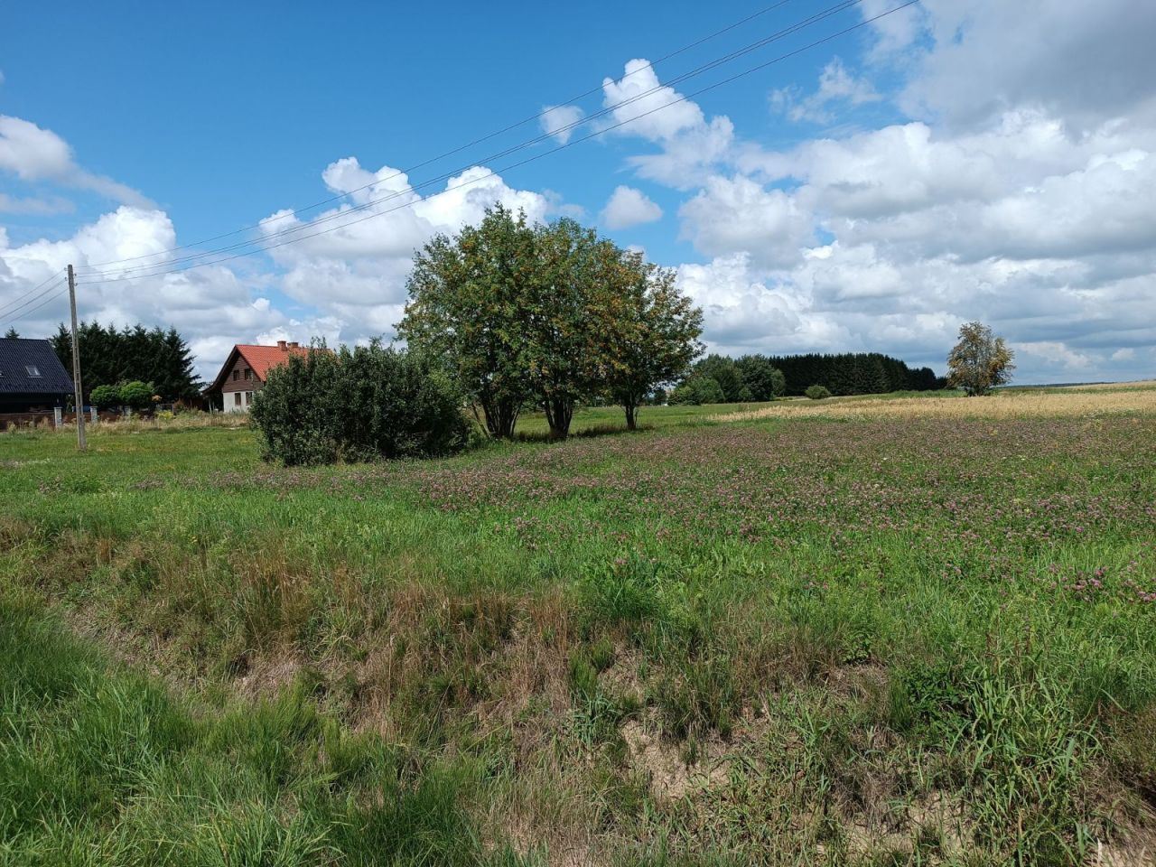 Działka budowlana Ruszajny, ul. Mikołaja Reja