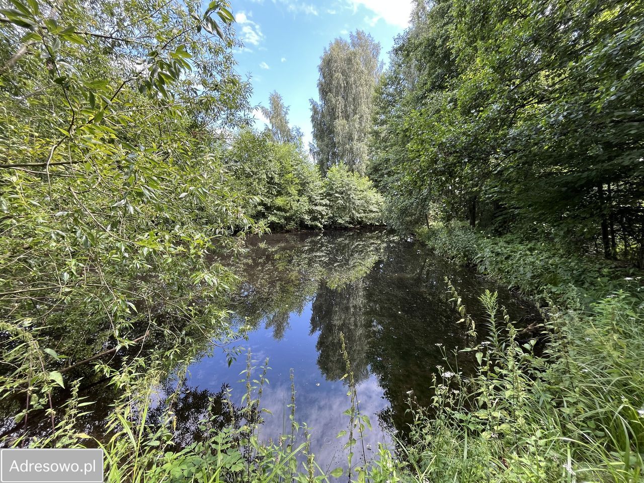 dom wolnostojący, 4 pokoje Kępa Borzechowska. Zdjęcie 8