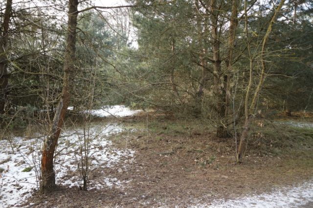 Działka budowlana Nekielka, ul. Kwiatowa. Zdjęcie 8