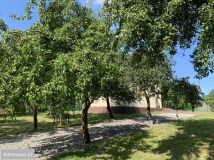 dom wolnostojący, 3 pokoje Aleksandrów. Zdjęcie 3