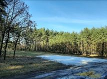 Działka rolno-budowlana Ożarowice, ul. Tarnogórska. Zdjęcie 3
