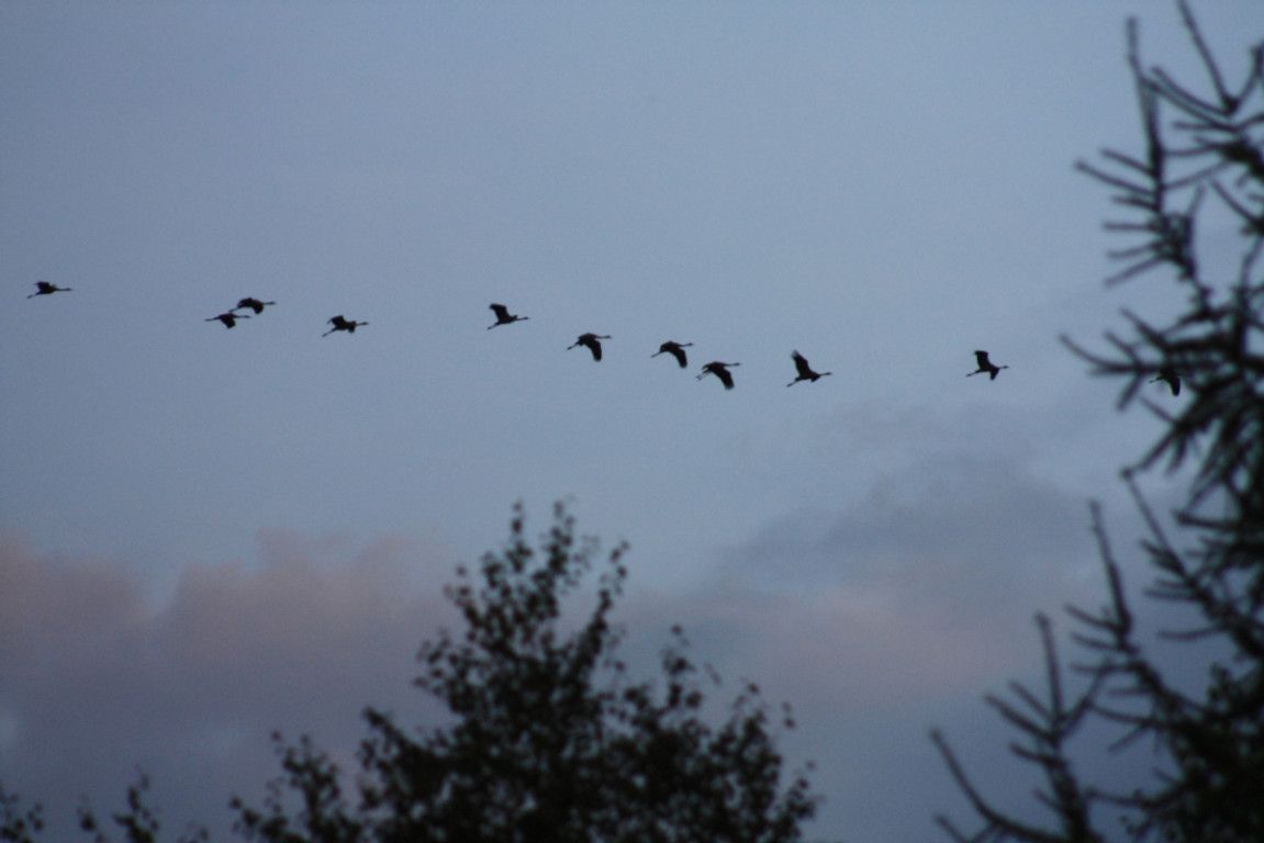 Działka rolna Sarnikierz. Zdjęcie 11