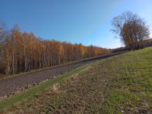 Działka rolna Leniuszki. Zdjęcie 2