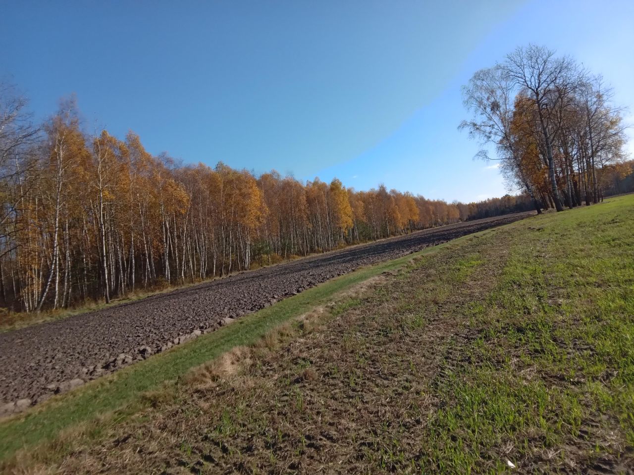 Działka rolna Leniuszki. Zdjęcie 3