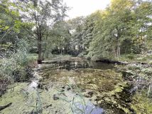 Działka budowlana Józefowo. Zdjęcie 2