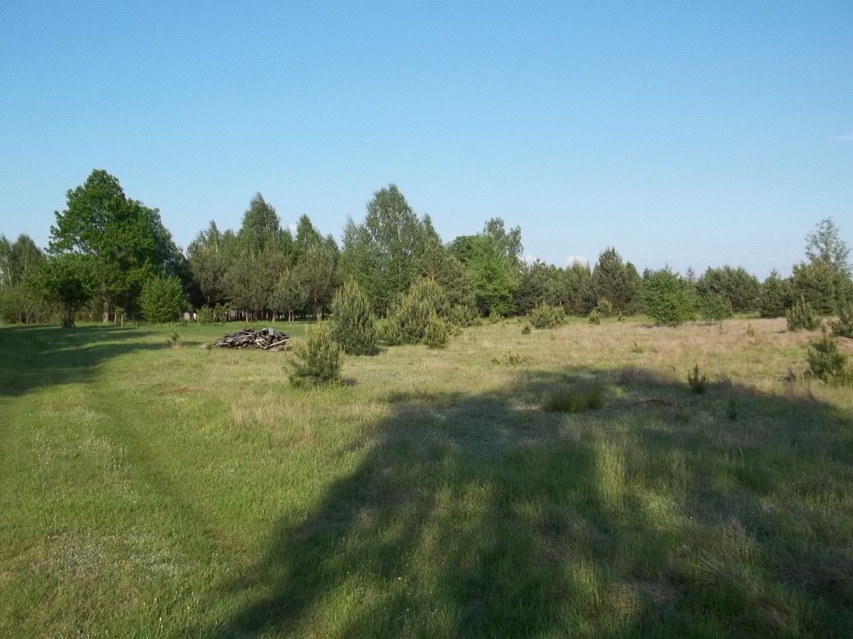 Działka rekreacyjna Budy Grabskie. Zdjęcie 6