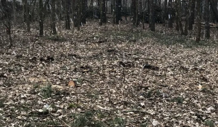 Działka budowlana Bystrzyca