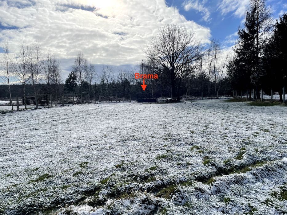 Działka budowlana Klonów. Zdjęcie 5