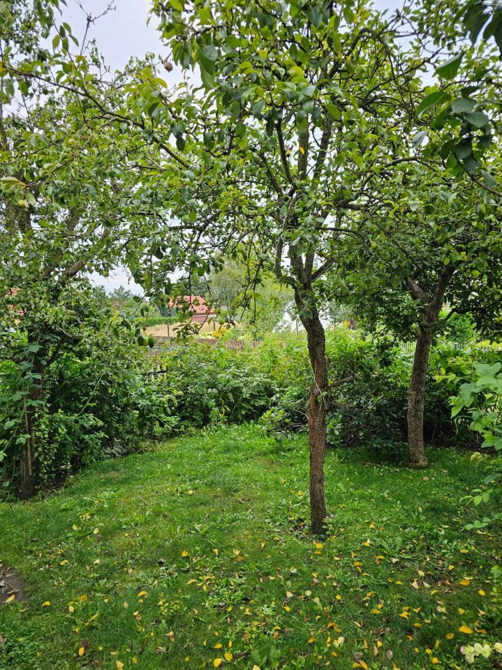 Działka rod Michałów-Reginów, ul. Warszawska. Zdjęcie 8