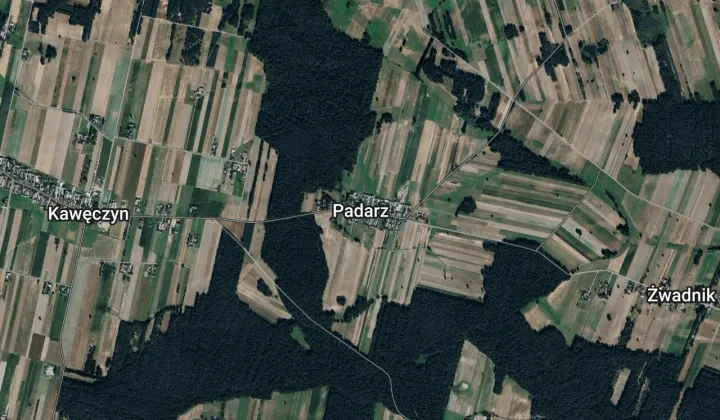 Działka leśna Padarz, Padarz