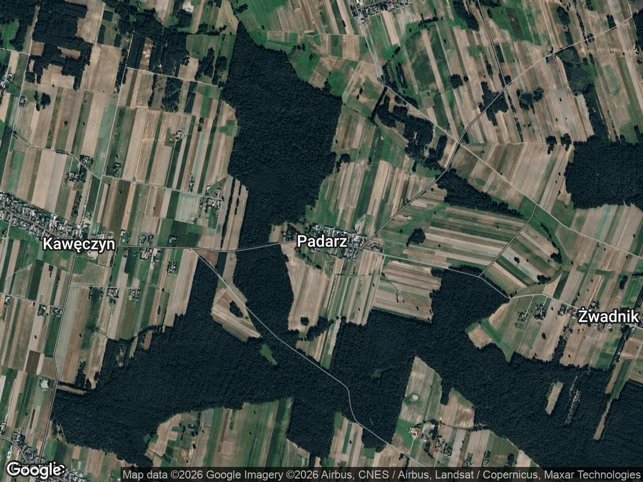 Działka leśna Padarz, Padarz. Zdjęcie 1
