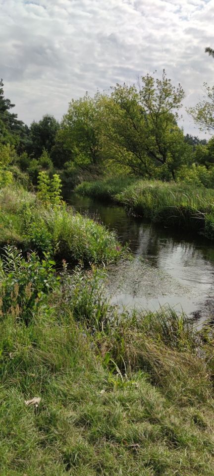 Działka rekreacyjna Łosie. Zdjęcie 6