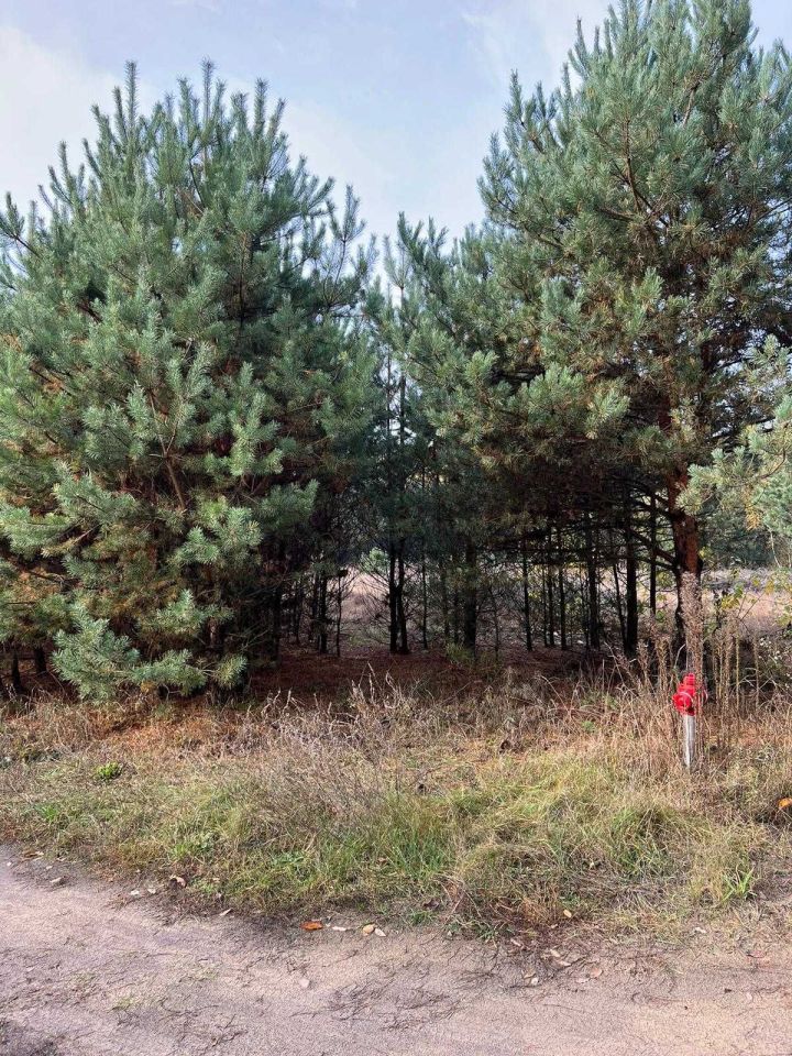 Działka rolno-budowlana Krogule. Zdjęcie 3