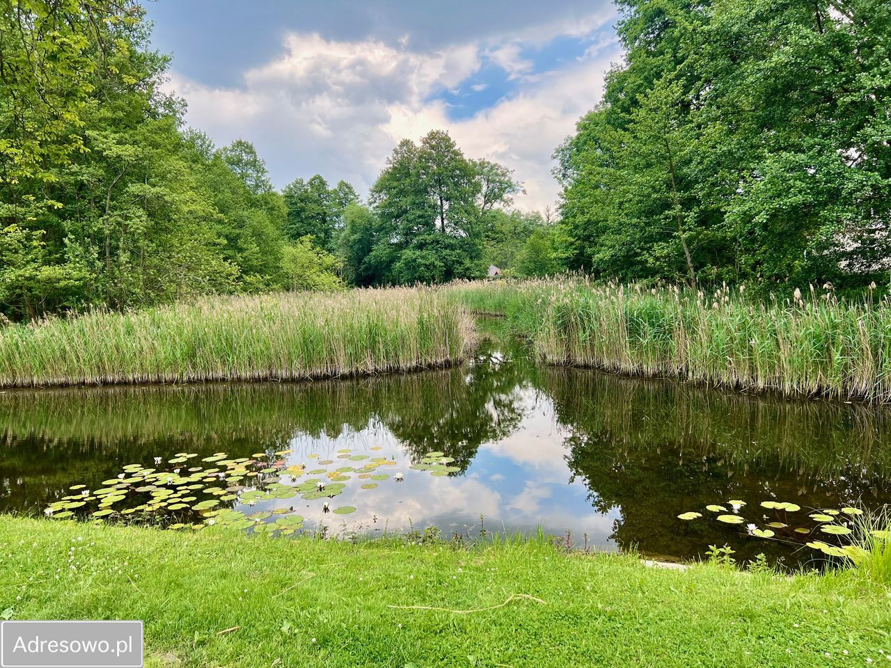 Działka budowlana Kuźnica Głogowska Głuchów. Zdjęcie 6