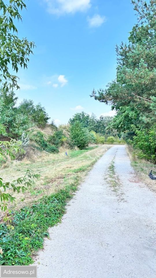 dom wolnostojący, 5 pokoi Milanówek, ul. Kazimierzowska. Zdjęcie 9