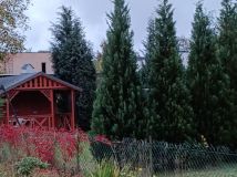 Działka rod Żagań. Zdjęcie 3