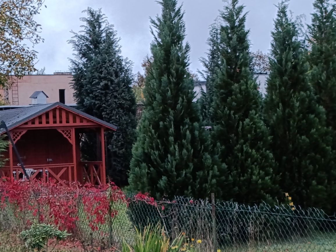 Działka rod Żagań. Zdjęcie 4