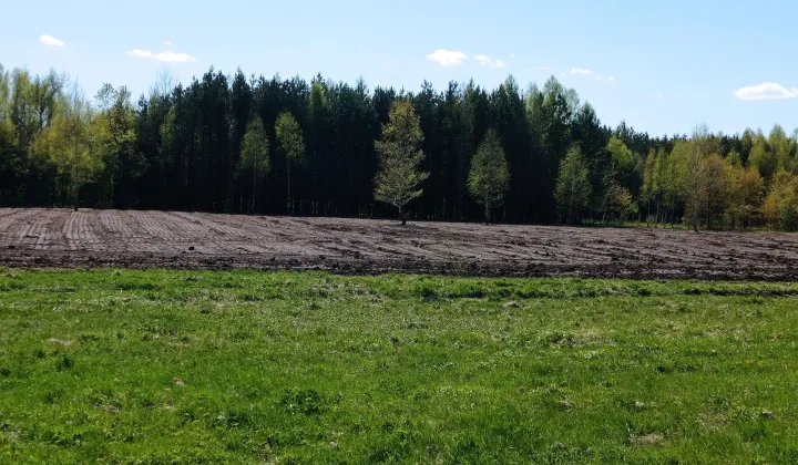 Działka rolno-budowlana Strzała