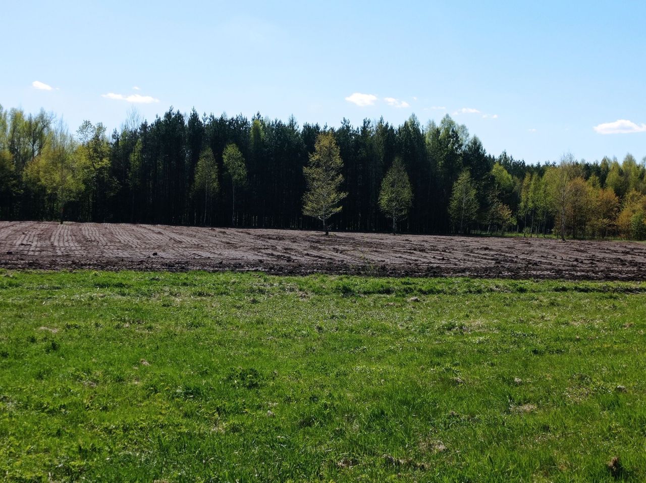 Działka rolno-budowlana Strzała. Zdjęcie 1