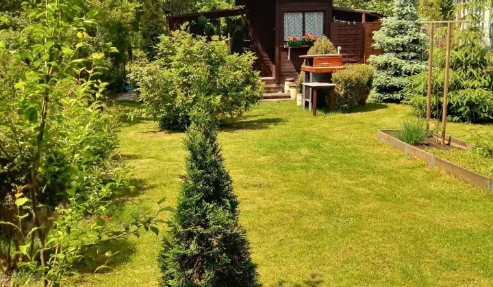 Działka rod Gliwice Stare Gliwice