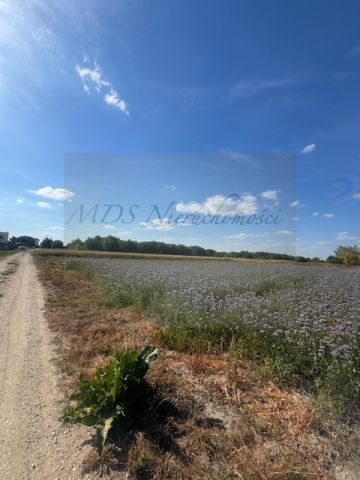Działka budowlana Nowa Wola, ul. Ignacego Krasickiego. Zdjęcie 4