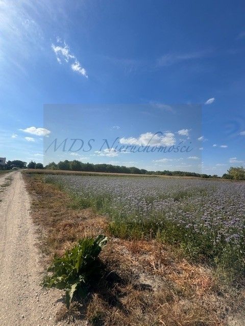 Działka budowlana Nowa Wola, ul. Ignacego Krasickiego. Zdjęcie 4