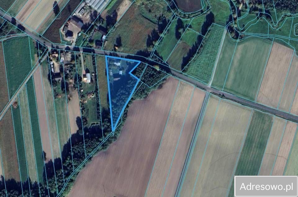 Działka siedliskowa Nowy Karolew Raszawy. Zdjęcie 8