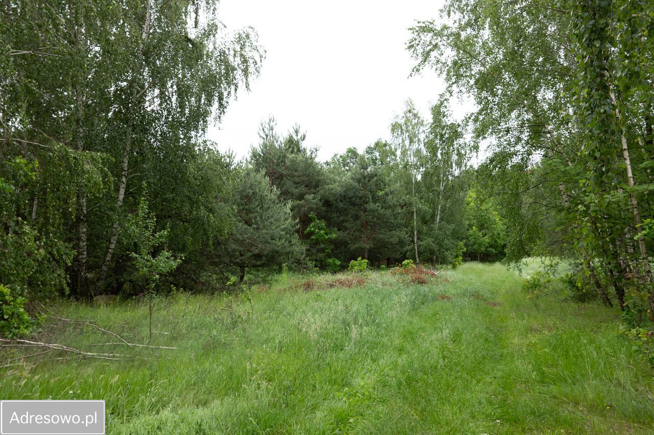 Działka Zofijówka. Zdjęcie 13