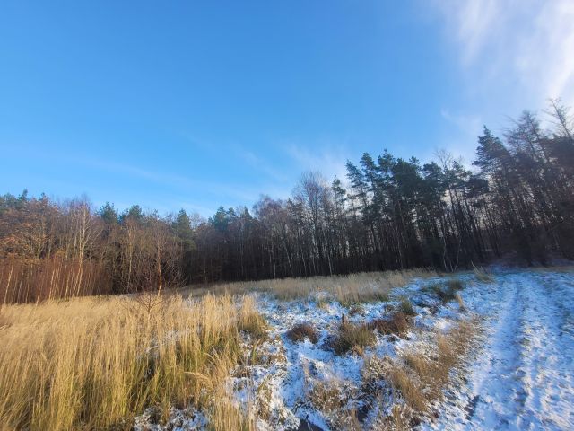 Działka budowlana Skwierzynka, ul. Wichrowe Wzgórze. Zdjęcie 6