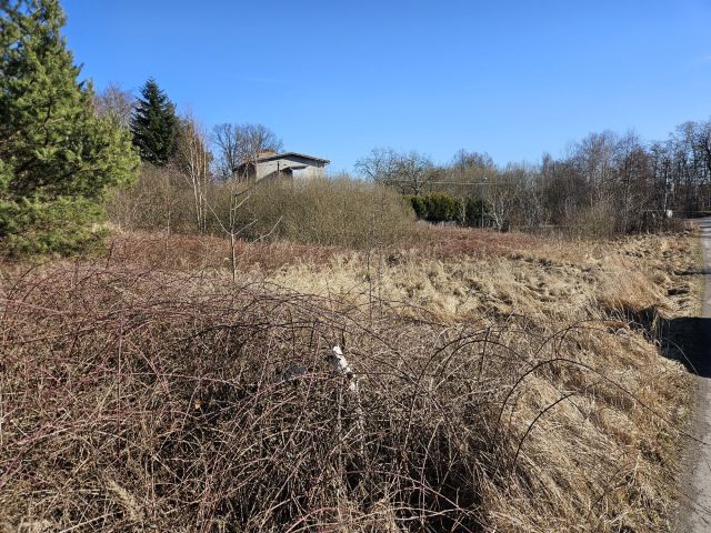 Działka budowlana Żary Kunice Żarskie, al. Wojska Polskiego. Zdjęcie 1