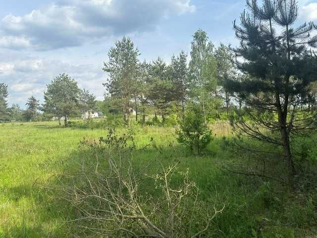 Działka budowlana Augustówek. Zdjęcie 6