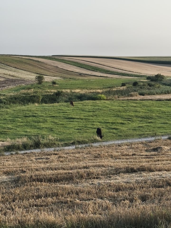 dom wolnostojący, 2 pokoje Hrebenne, Hrebenne. Zdjęcie 42
