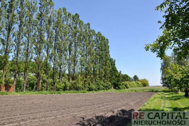 Działka rolno-budowlana Koczargi Nowe. Zdjęcie 4