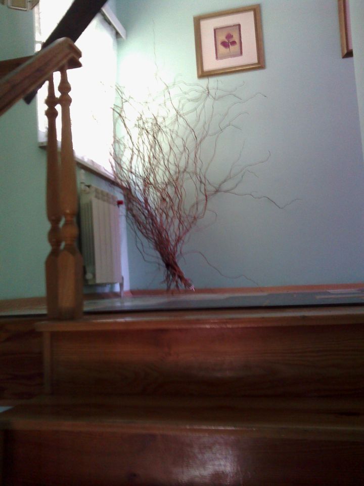 dom wolnostojący, 5 pokoi Wąwolnica, ul. Lubelska. Zdjęcie 9