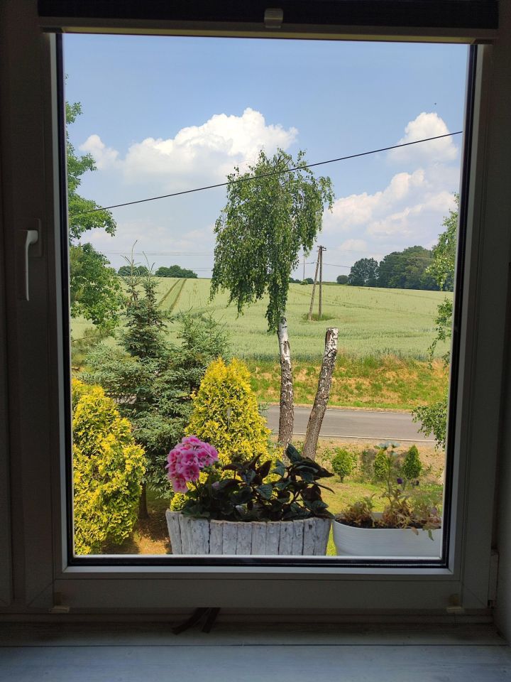 Mieszkanie 2-pokojowe Osiek, ul. Zamkowa. Zdjęcie 11