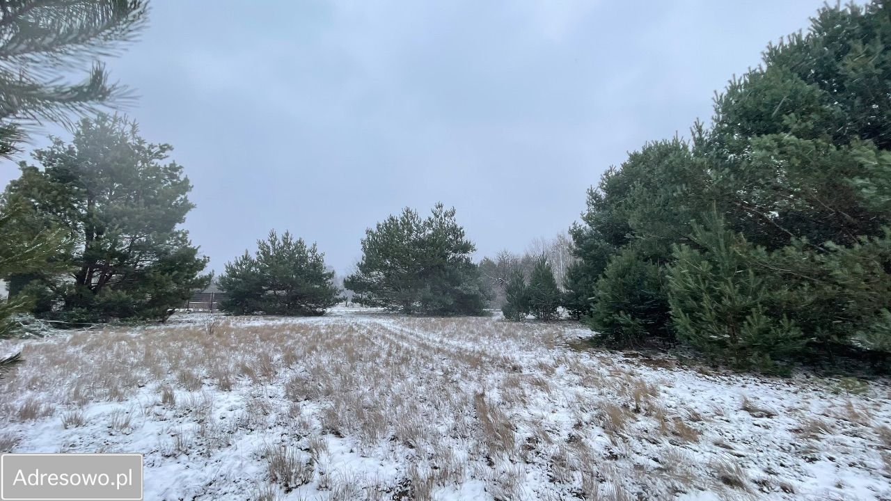 Działka budowlana Walendów, ul. Sadowa. Zdjęcie 9