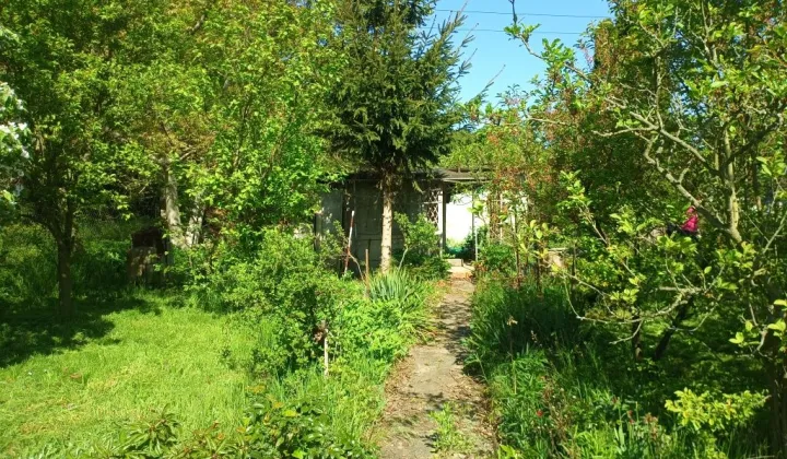 Działka rod Wrocław Psie Pole