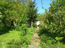 Działka rod Wrocław Psie Pole